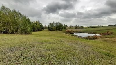 Jeleniewo, działka rolna,4.1721 ha