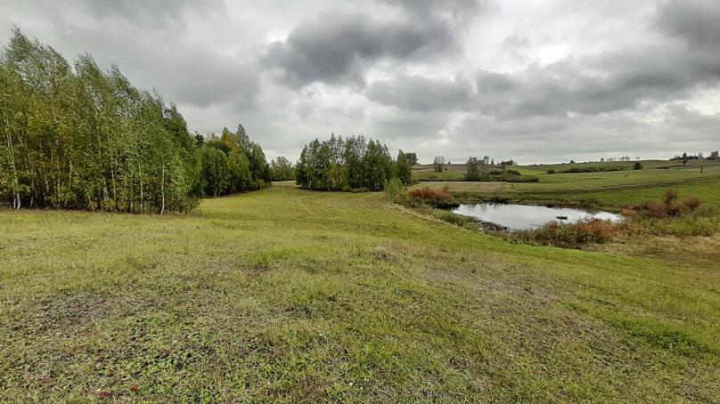 Jeleniewo, działka rolna,4.1721 ha