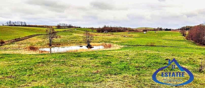 Wiżajny, działka z linią brzegową- Suwalszczyzna.