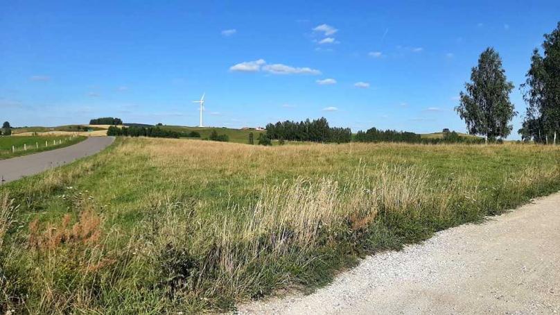 Suchodoły gm. Jeleniewo 0,3000 ha, działka na Sprzedaż
