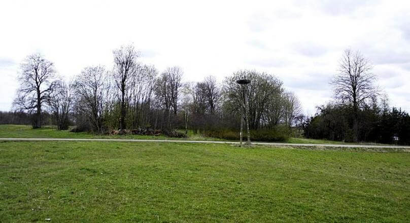 Działka budowlana - starodrzewa, nasadzenia Żyliny