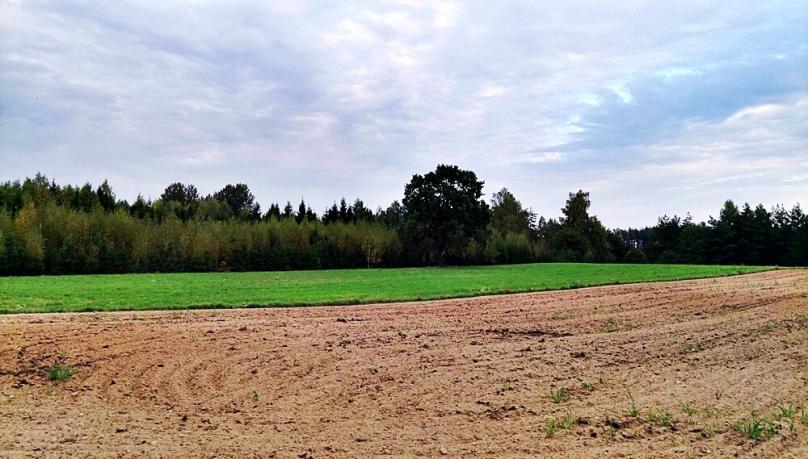 Działka nad jeziorem, Bolesty gm Raczki