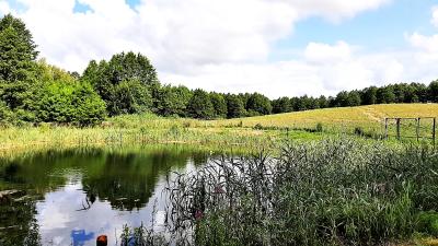 Działka w okolicy Sejn, 4.4 ha, staw, rzeka, las.