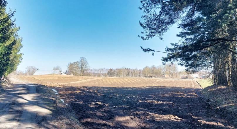 Działka pod zabudowę, z lasem, Aleksandrowo, gm. Krasnopol