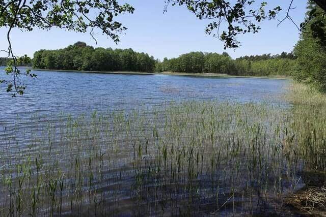 Działka pod turystykę 1.5ha Augustów 