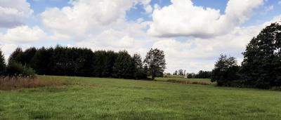 Bakałarzewo, działka rolna 1,3413 ha – Okazja