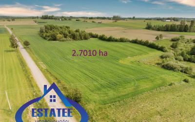 Działka pod zabudowę, Filipów – 2.7 ha.