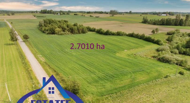 Działka pod zabudowę, Filipów – 2.7 ha.