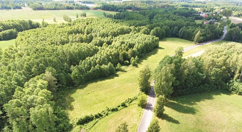 Na sprzedaż działki w Aleksandrowie, gm. Krasnopol