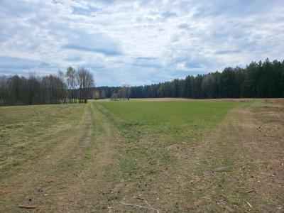 Maćkowa Ruda gm. Krasnopol - działka rolna 2,7776 ha
