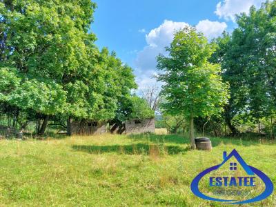 Dębowo, gmina Szypliszki - Działka z możliwością zabudowy