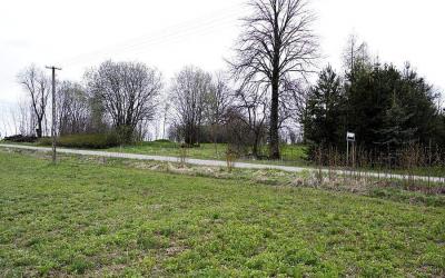 Działka budowlana - starodrzewa, nasadzenia Żyliny