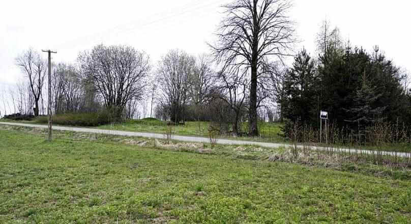 Działka budowlana - starodrzewa, nasadzenia Żyliny