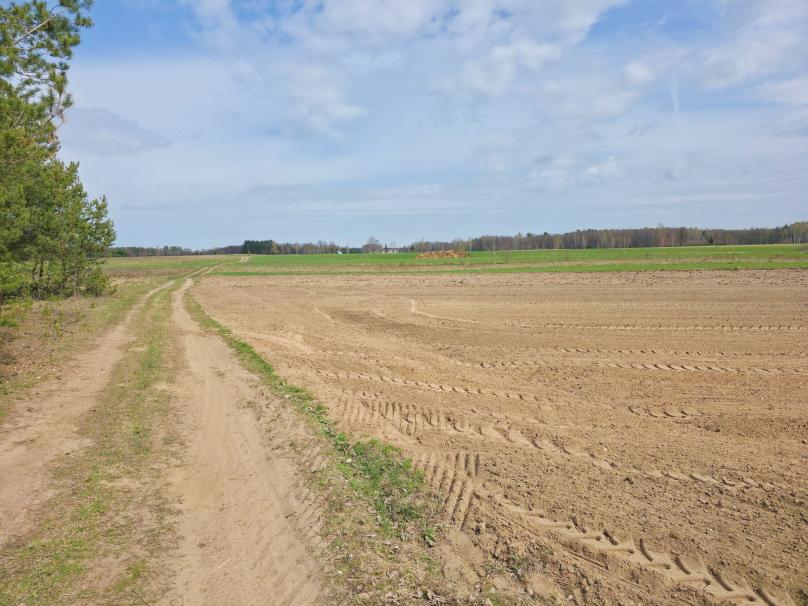 Maćkowa Ruda gm. Krasnopol - działka rolna 2,7776 ha