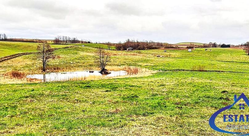 Wiżajny, działka z linią brzegową- Suwalszczyzna.