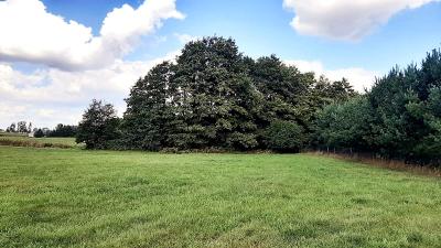 Bakałarzewo, działki budowlane, j.Sumowo