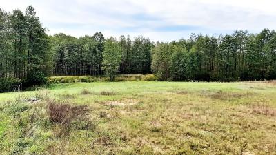 Działka nad rzeką - Dubowo, gm. Sejny 0.5427 ha