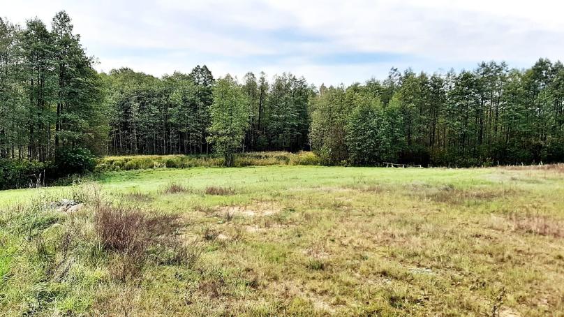 Działka nad rzeką - Dubowo, gm. Sejny 0.5427 ha