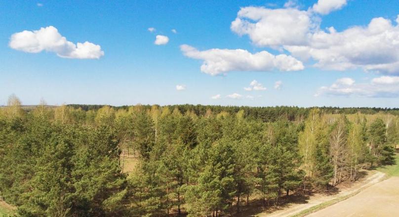 Działka z linią brzegową jeziora Bolesty, gm. Raczki 