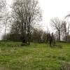 Działka budowlana - starodrzewa, nasadzenia Żyliny
