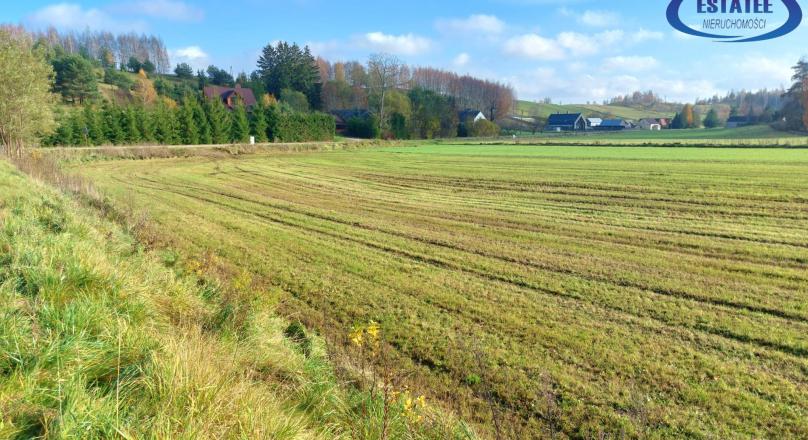 Biała Woda, gm. Suwałki (0.3001 ha) - Działka na sprzedaż 