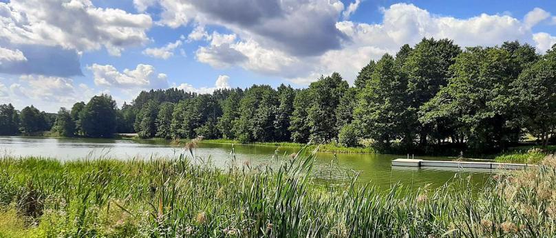Bakałarzewo na wzgórzu 1.0966 ha działka nad jeziorem Sumowo