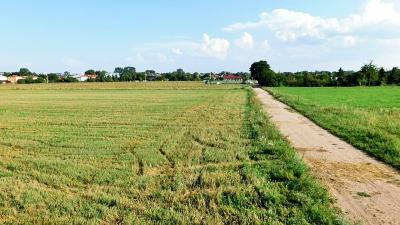 Działki rolne 2.4 ha, ul. Kołłątaja, m.Suwałki