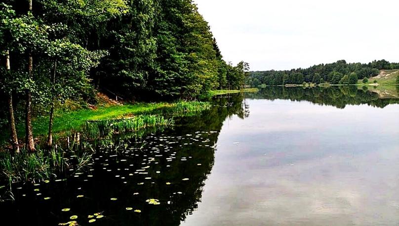 Działka nad jeziorem, Bolesty gm Raczki