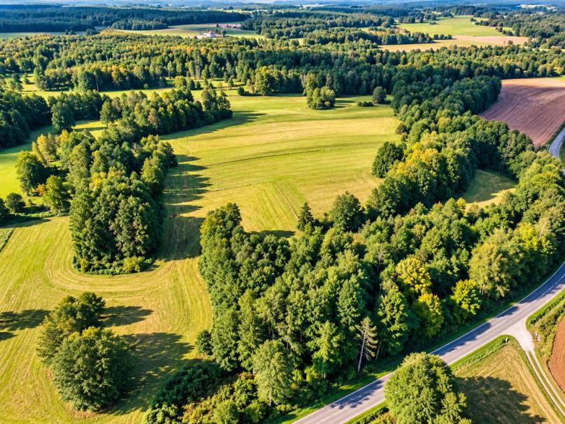 Marycha – Babańce, gmina Sejny - Działka rolna przy rzece 