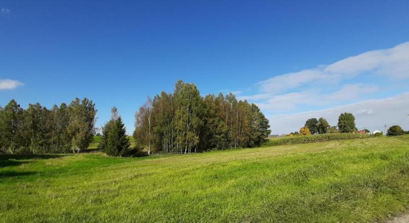 Linówek gm.Krasnopol-działka pod zabudowę,