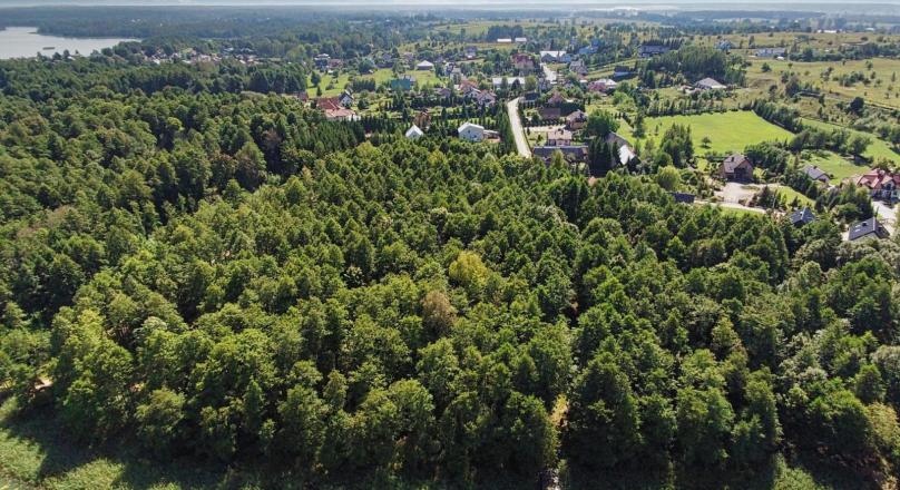 Dom w Suwałkach, linia jez.  Dąbrówka 1.2 ha