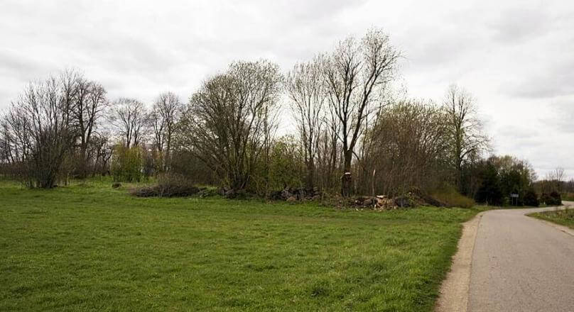 Działka budowlana - starodrzewa, nasadzenia Żyliny