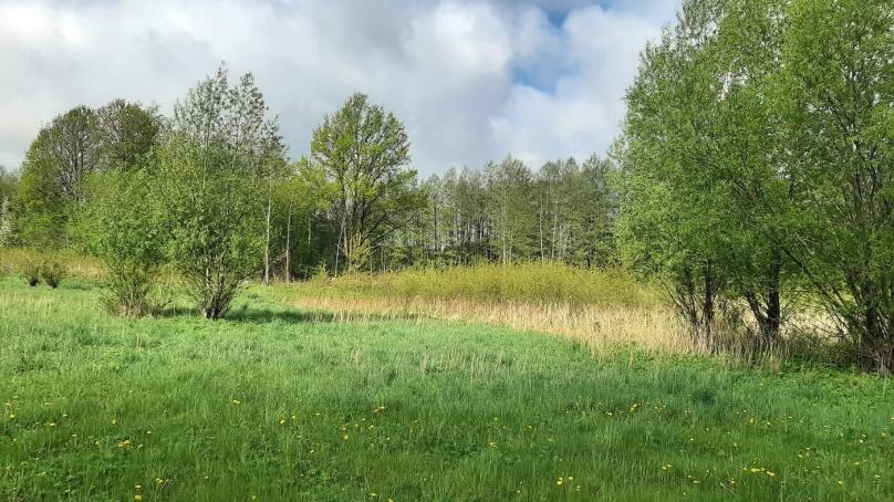 Działka o pow.847 , Krzywe gm Suwałki