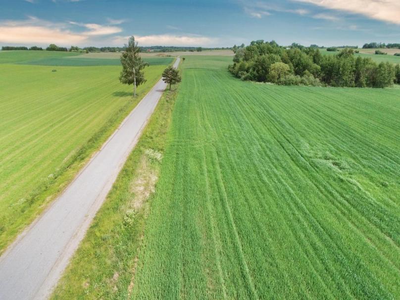 Działka pod zabudowę, Filipów – 2.7 ha.