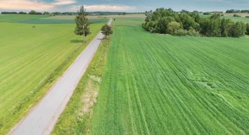 Działka pod zabudowę, Filipów – 2.7 ha.