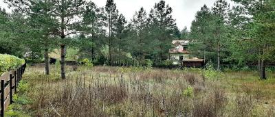 Ateny gmina Nowinka działka na sprzedaz, 1244m2