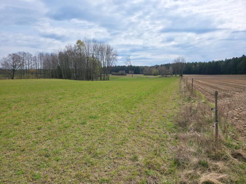 Maćkowa Ruda gm. Krasnopol - działka rolna 2,7776 ha