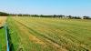 Działki rolne 2.4 ha, ul. Kołłątaja, m.Suwałki
