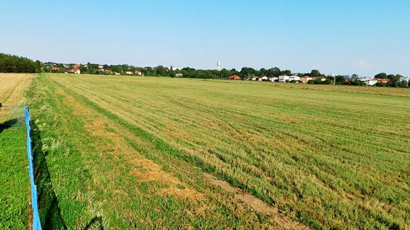Działki rolne 2.4 ha, ul. Kołłątaja, m.Suwałki