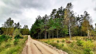  Działka na sprzedaż w gminie Płaska, 7281 m2