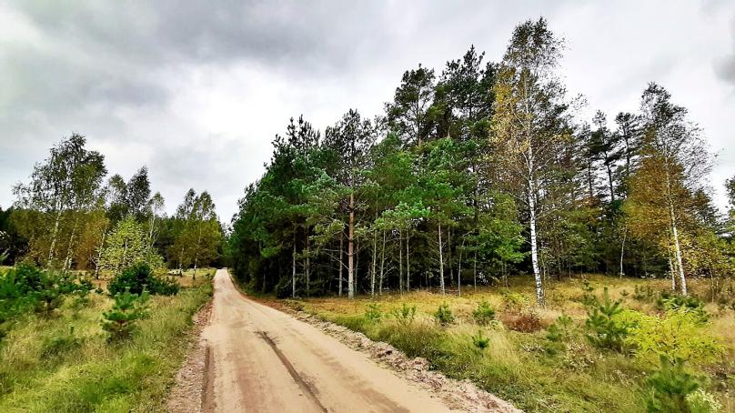  Działka na sprzedaż w gminie Płaska, 7281 m2