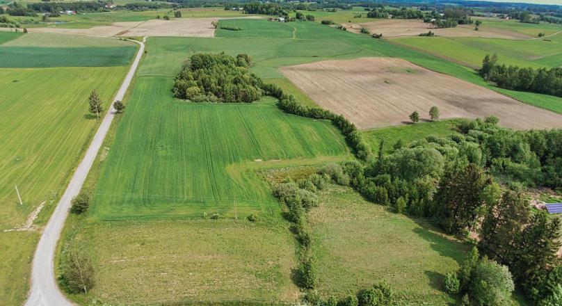 Działka pod zabudowę, Filipów – 2.7 ha.