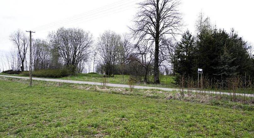 Działka budowlana - starodrzewa, nasadzenia Żyliny