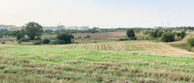 Ul. Różana, Suwałki - Na sprzedaż działka rolna o powierzchni 2,0277 ha