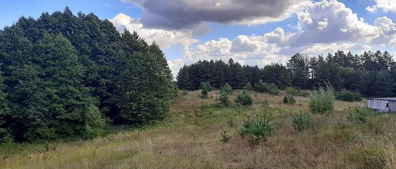 Bakałarzewo na wzgórzu 1.0966 ha działka nad jeziorem Sumowo