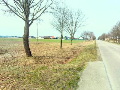 Raczki, woj. podlaskie - Na sprzedaż działki budowlane