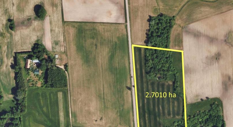 Działka pod zabudowę, Filipów – 2.7 ha.